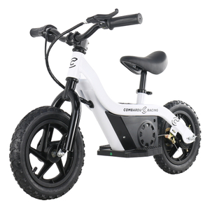 Elektrische Kinderlaufräder 24V 100W Kinderfahrrad 