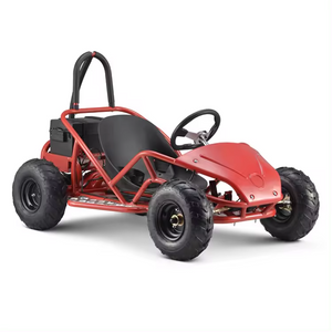 Elektro-Go-Kart mit Wellenantrieb für Kinder, 1000-W-Mini-Buggy